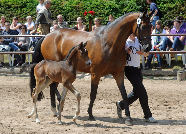 Trakehner Hengstfohlen von Saint Cyr u.d. Pr.u.StPrSt. Kosma Shiva v. Herzruf, Zchter: Bernd Berge