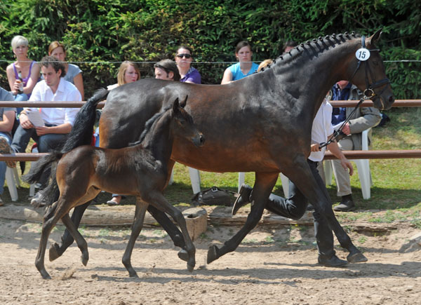 Stutfohlen von Summertime u.d. Pr.St. Anjana v. Freudenfest u.d. Elitestute Agatha Christy v. Showmaster, Foto: Beate Langels