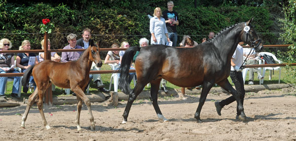 Hengstfohlen von Symont u.d. Beloved v. Kostolany - 5. Mai 2011 - Foto: Beate Langels - Trakehner Gestt Hmelschenburg