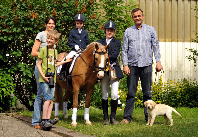 Sieg im Fhrzgelwettbewerb fr Greta, Pauline und Cinja - Foto: Beate Langels -  
Trakehner Gestt Hmelschenburg