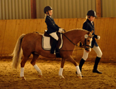 sieg im Fhrzgelwettbewerb fr Greta, Pauline und Cinja  - Fotos Beate Langels - Trakehner Gestt Hmelschenburg
