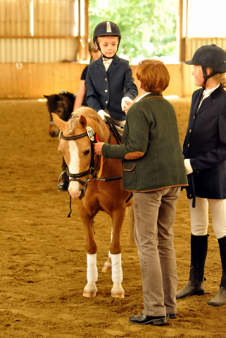 Sieg im Fhrzgelwettbewerb fr Greta, Pauline und Cinja - Foto: Beate Langels -  
Trakehner Gestt Hmelschenburg