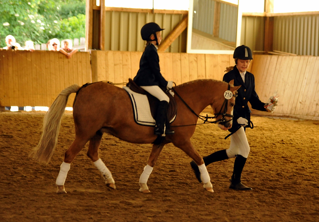 Sieg im Fhrzgelwettbewerb fr Greta, Pauline und Cinja - Foto: Beate Langels -  
Trakehner Gestt Hmelschenburg