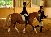 sieg im Fhrzgelwettbewerb fr Greta, Pauline und Cinja  - Fotos Beate Langels - Trakehner Gestt Hmelschenburg