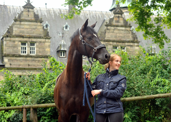 Ehramo von Alter Fritz x Kostolany im Juli 2012 - Foto: Beate Langels - Trakehner Gestt Hmelschenburg