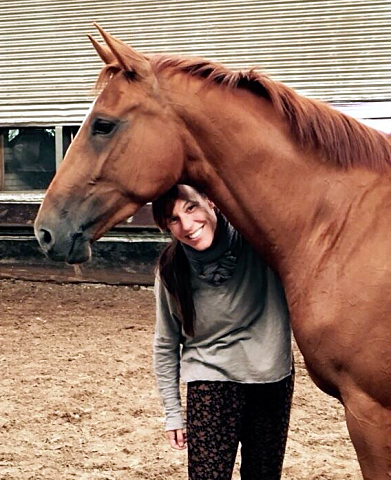 Oldenburger Be Fair von Symont u.d. Beloved v. Kostolany - Foto: Beate Langels - Trakehner Gestt Hmelschenburg