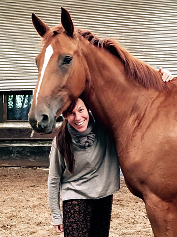 Oldenburger Be Fair von Symont u.d. Beloved v. Kostolany - Foto: Beate Langels - Trakehner Gestt Hmelschenburg