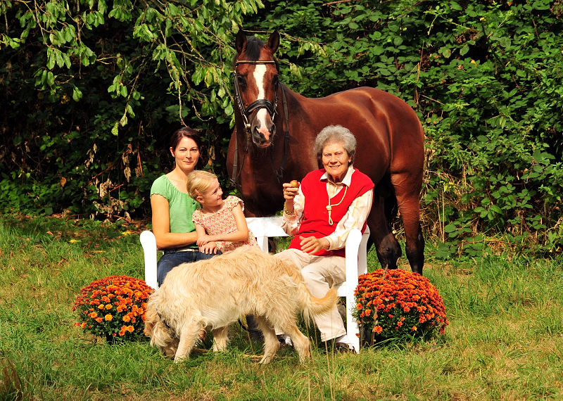   - Foto: Freudenfest v. Tolstoi - Foto: Beate Langels -
Trakehner Gestt Hmelschenburg