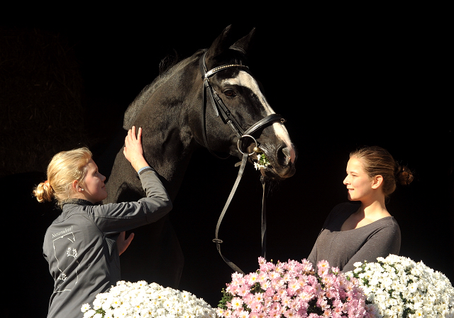 Alter Fritz mit Pauline und Lea 11.10.2015  - Foto Beate Langels - Trakehner Gestt Hmelschenburg