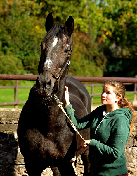 Exclusiv und Lea 11.10.2015  - Foto Beate Langels - Trakehner Gestt Hmelschenburg