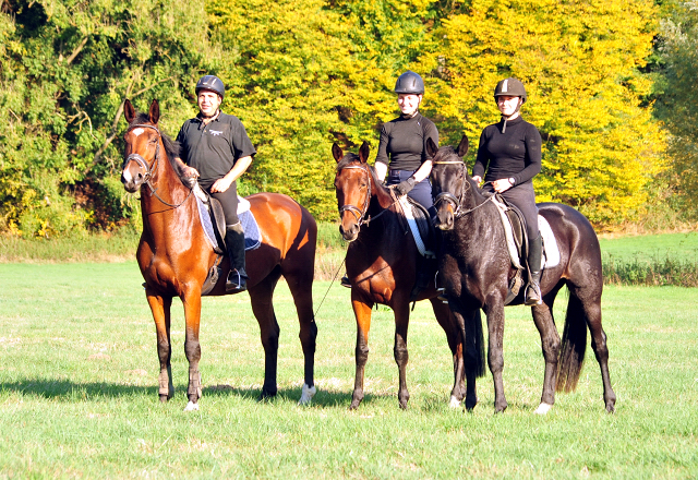 Ausritt mit unseren 3jhrigen im Oktober - Trakehner Gestt Hmelschenburg - Beate Langels