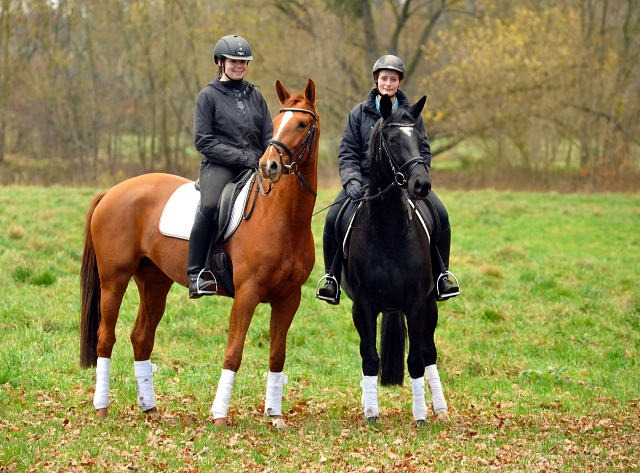 Ginger Rogers und Be Fair - 11. November 2015  - Foto Beate Langels - Trakehner Gestt Hmelschenburg