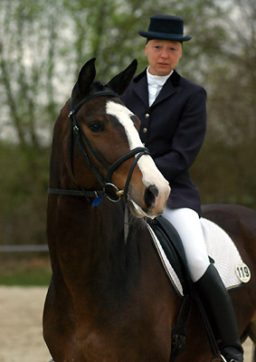 Gentle Giant von Alter Fritz u.d. St.Pr.St. Guendalina von Red Patrick xx, Foto Beate Langels Trakehner Gestt Hmelschenburg