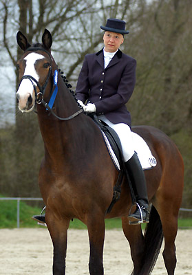 Gentle Giant by Alter Fritz out of Pr.St. Guendalina by Red Patrick xx, Foto: Beate Langels Gestt Hmelschenburg