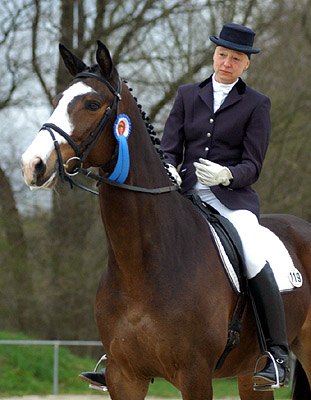 Gentle Giant by Alter Fritz out of Pr.St. Guendalina by Red Patrick xx, Foto: Beate Langels Gestt Hmelschenburg