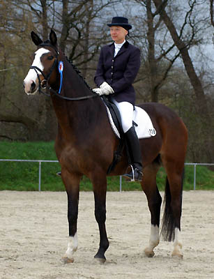 4 years old: Gentle Giant by Alter Fritz out of St.Pr.St. Guendalina by Red Patrick xx, Trakehner Gestt Hmelschenburg Beate Langels