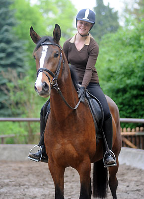 Galileo von Exclusiv u.d. Gwendolyn v. Maestro - Kostolany - Karon - Foto: Beate Langels - Trakehner Gestt Hmelschenburg