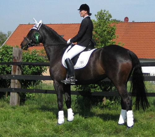 Kaiserzeit von Summertime und Katja Holzhter