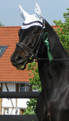 Kaiserzeit von Summertime und Katja Holzhter