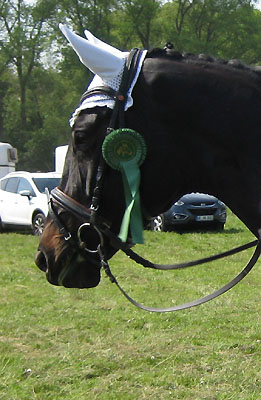 Kaiserzeit von Summertime und Katja Holzhter