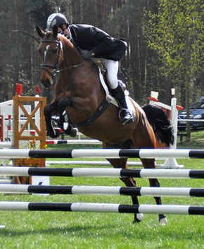 Klose von Shavalou u.d. Kida v. Schampus u.d. Pr.St. Kassis von Kostolany, Zchter: Bernhard Langels