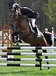 5j�hriger Trakehner Wallach von Shavalou u.d. Kida v. Schampus