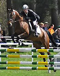 5j�hriger Trakehner Wallach von Shavalou u.d. Kida v. Schampus