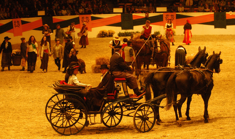 Wehlauer Pferdemarkt - Foto: Beate Langels, Trakehner Gestt Hmelschenburg