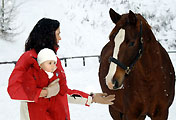 Winter im Trakehner Gestüt Hmelschenburg