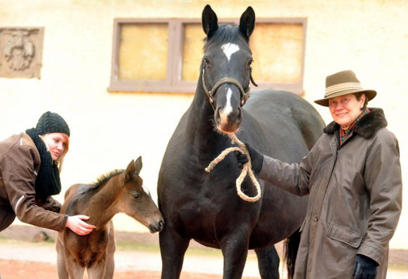 Jutta Langels with her Trakehner Colt by Summertime out of Thirica by Enrico Caruso