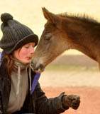 1 Tag alt: Hengstfohlen von Summertime u.d. Thirica v. Enrico Caruso
