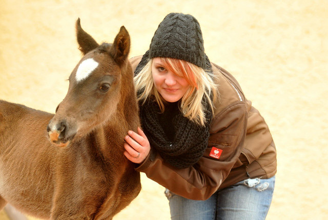 Trakehner Colt by Summertime out of Thirica by Enrico Caruso - Trakehner Gestt Hmelschenburg - Beate Langels