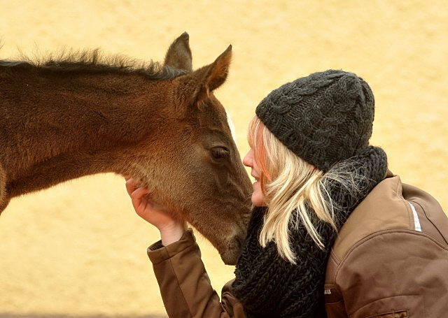 Trakehner Hengstfohlen von Summertime u.d. Thirica v. Enrico Caruso - mit Patricia - Foto: Beate Langels, Trakehner Gestt Hmelschenburg