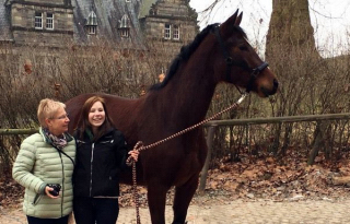 Klassic Twist - 3-jhriger Wallach von Oliver Twist u.d. Klassic v. Freudenfest - Beate Langels Gestt Hmelschenburg