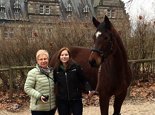 Klassic Twist - 3-jhriger Wallach von Oliver Twist u.d. Klassic v. Freudenfest - Beate Langels Gestt Hmelschenburg