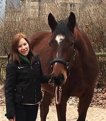 Klassic Twist - 3-jhriger Wallach von Oliver Twist u.d. Klassic v. Freudenfest - Beate Langels Gestt Hmelschenburg