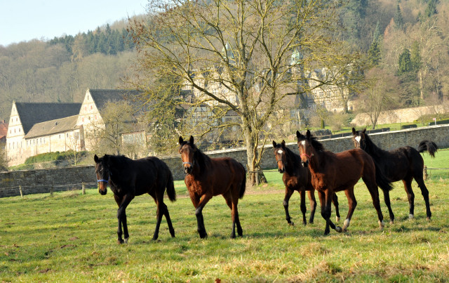 Jhrlinge in Hmelschenburg - Foto Beate Langels