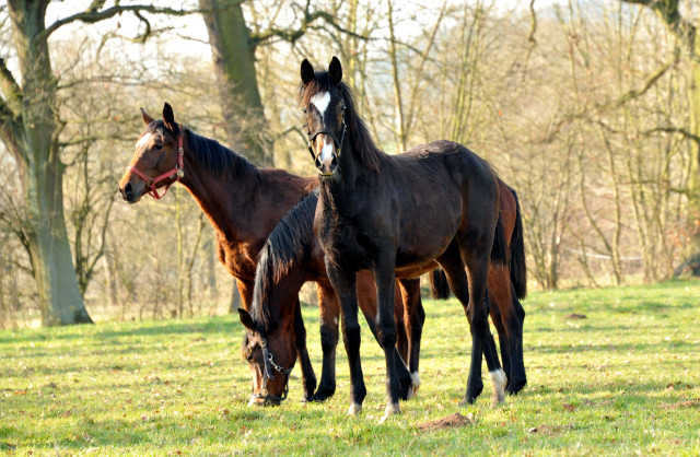 Jhrlinge in Hmelschenburg - Foto Beate Langels