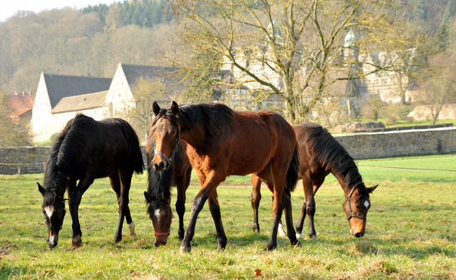 Jhrlinge in Hmelschenburg - Foto Beate Langels