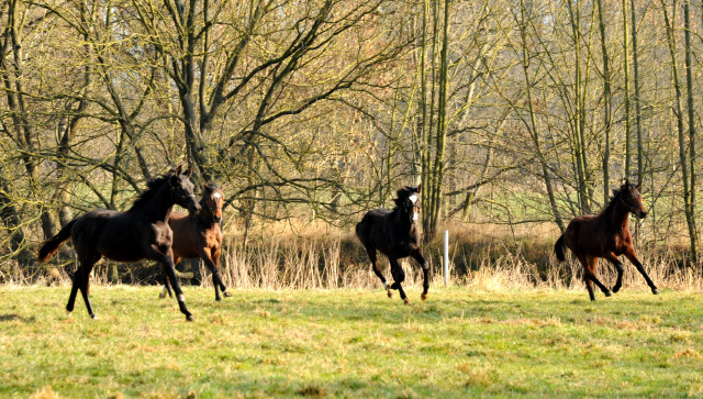 Jhrlinge in Hmelschenburg - Foto Beate Langels