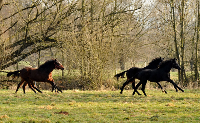 Jhrlinge in Hmelschenburg - Foto Beate Langels