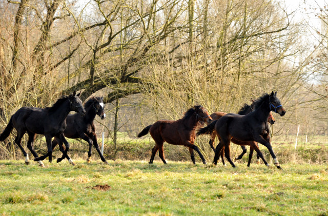 Jhrlinge in Hmelschenburg - Foto Beate Langels