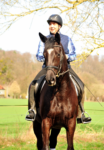 Ginger Rogers v. Symont u.d. Pr.u.ESt. Greta Garbo v. Alter Fritz  - Foto: Beate Langels -
Trakehner Gestt Hmelschenburg