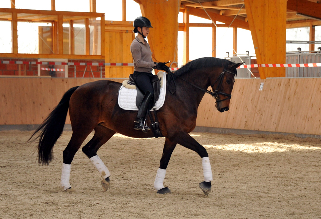 Sacre de L'Est von Freudenfest geritten von Stephanie Leuenberger - Foto Beate Langels