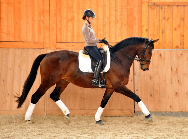 Sacre de L'Est von Freudenfest geritten von Stephanie Leuenberger - Foto Beate Langels