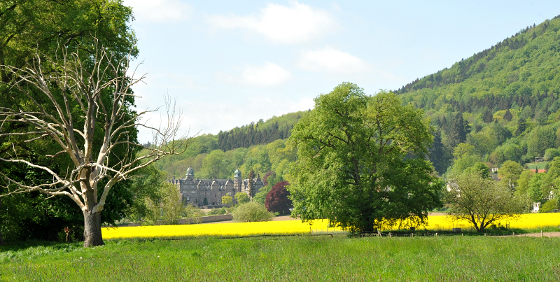 Hmelschenburg - Anfang Mai 2015 - Foto Beate Langels - Gestt Hmelschenburg