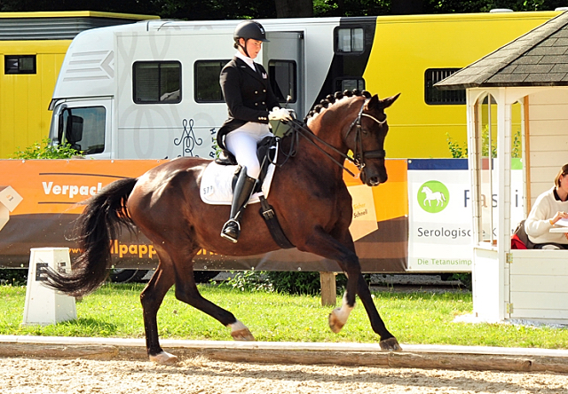 5. Plaz Piaff Frderpreis in Bettenrode fr SEAL und Lune Karolin Mller am  12.Juli 2020 - Foto: Beate Langels - Trakehner Gestt Hmelschenburg