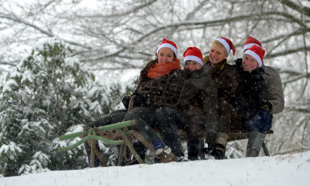 Vorweihnachtszeit in Hmelschenburg - Dezember 2012, Foto: Beate Langels, Trakehner Gestt Hmelschenburg - Beate Langels