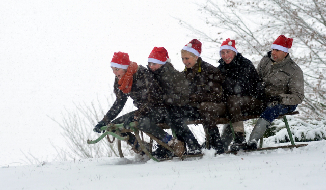 Vorweihnachtszeit in Hmelschenburg - Dezember 2012, Foto: Beate Langels, Trakehner Gestt Hmelschenburg - Beate Langels