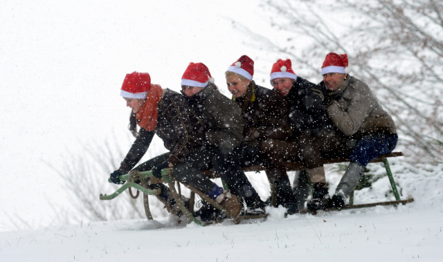 Vorweihnachtszeit in Hmelschenburg - Dezember 2012, Foto: Beate Langels, Trakehner Gestt Hmelschenburg - Beate Langels
